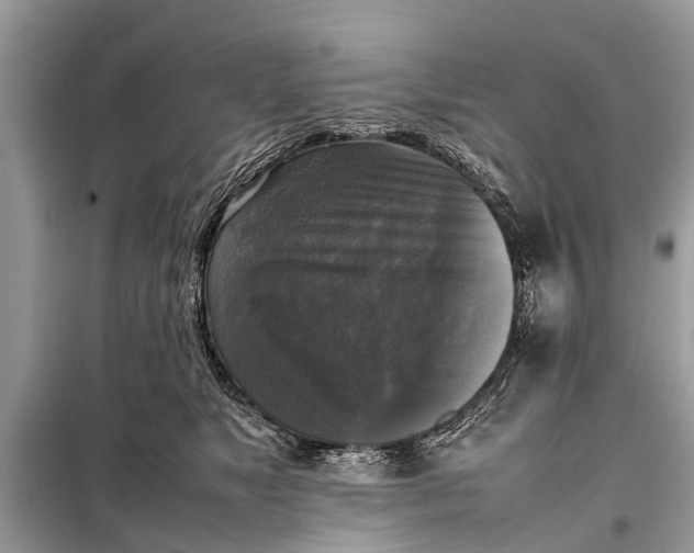 X0000098190517200805081051