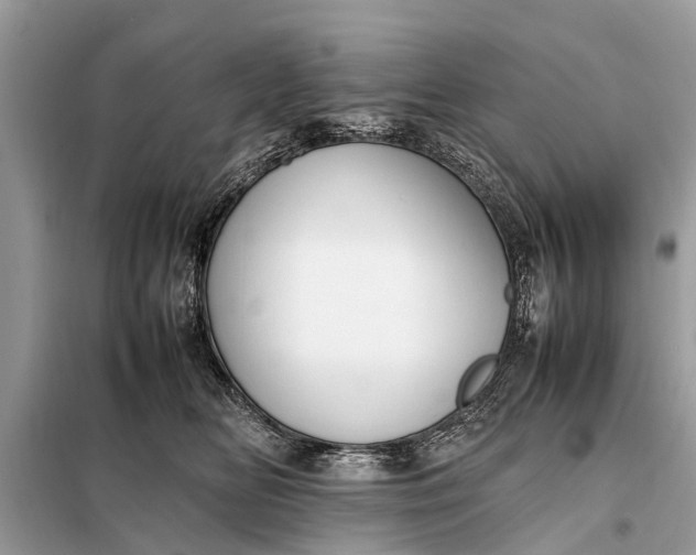X0000098190518200805081051