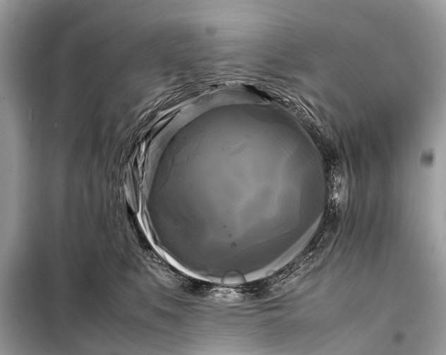 X0000098190519200805081051