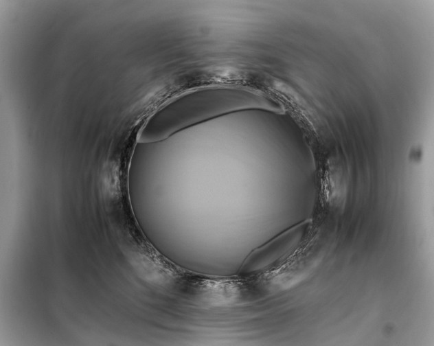 X0000098190520200805081051
