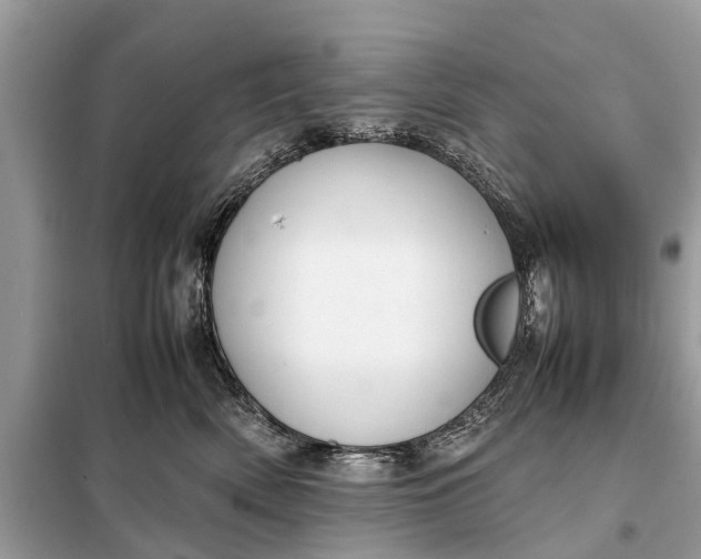 X0000098190522200805081051