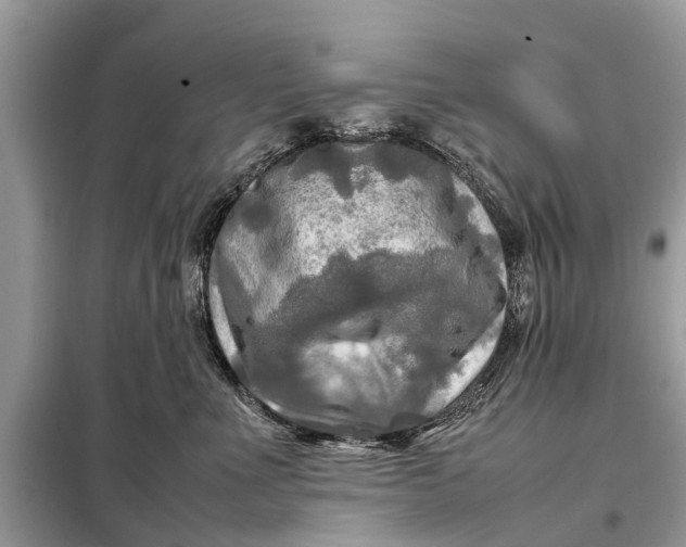 X0000098190523200805081051