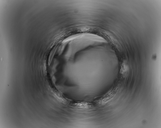 X0000098190524200805081051