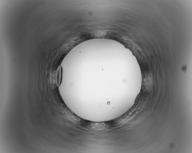 X0000098190525200805081051