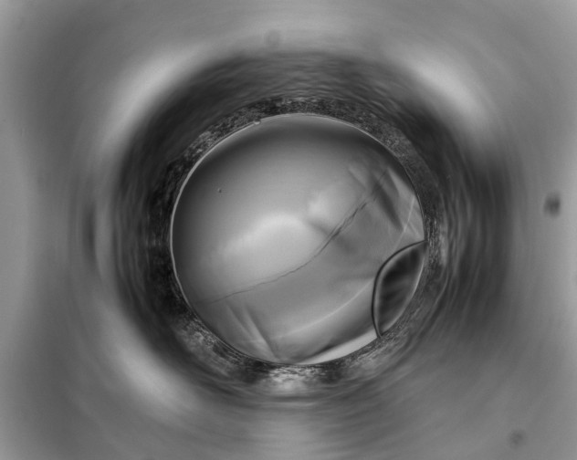 X0000098190526200805081051