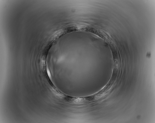 X0000098190527200805081050