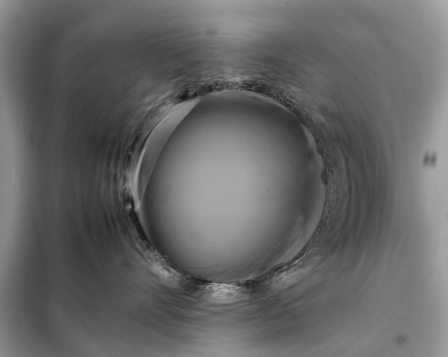 X0000098190528200805081050