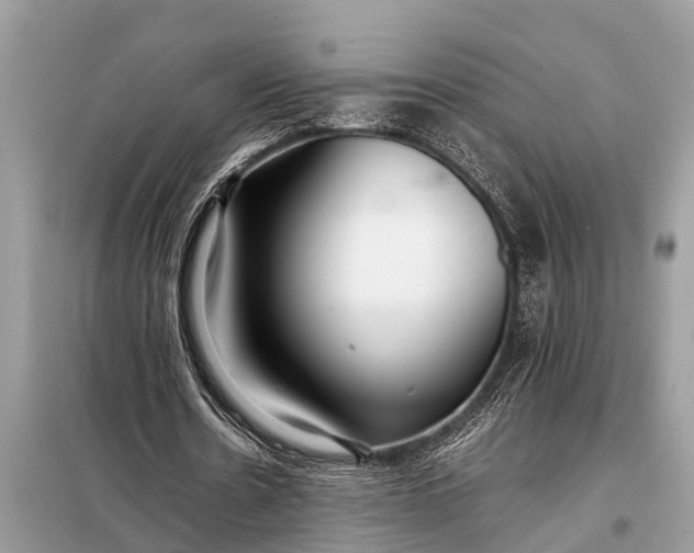 X0000098190530200805081050