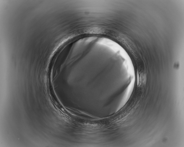 X0000098190531200805081050