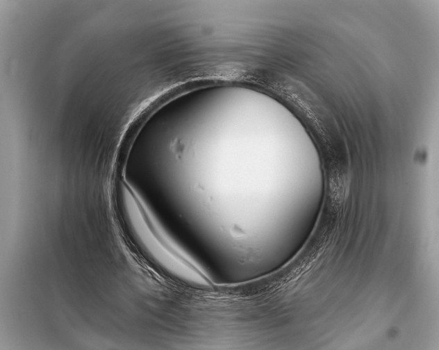 X0000098190532200805081050