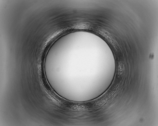 X0000098190535200805081050