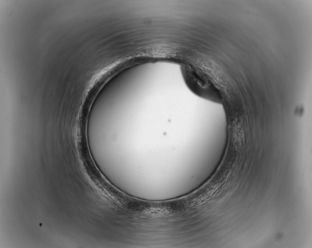 X0000098190536200805081050