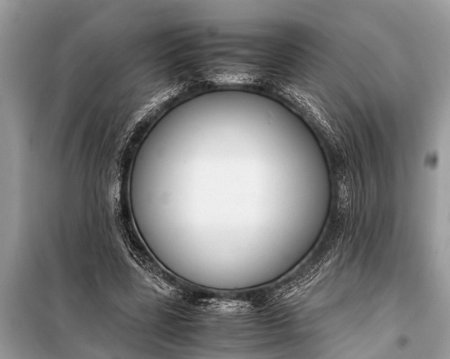 X0000098190539200805081050