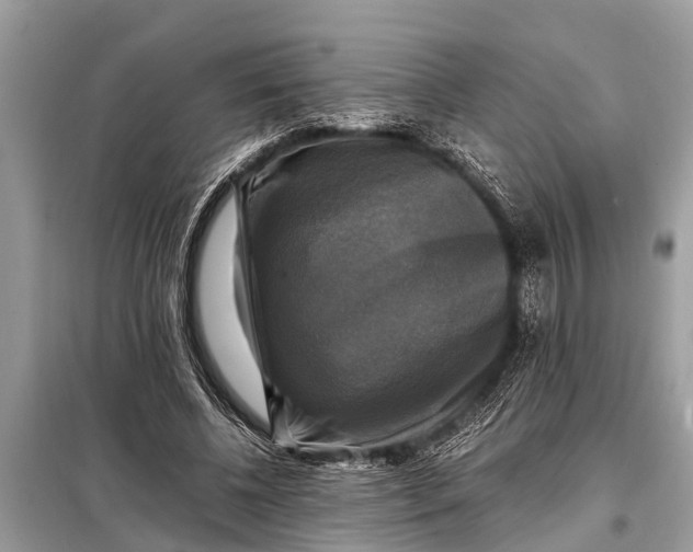 X0000098190540200805081050