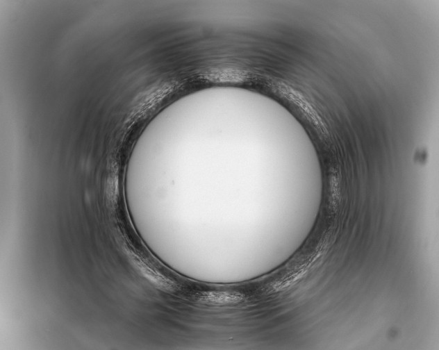 X0000098190541200805081050