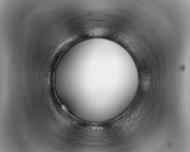 X0000098190543200805081050