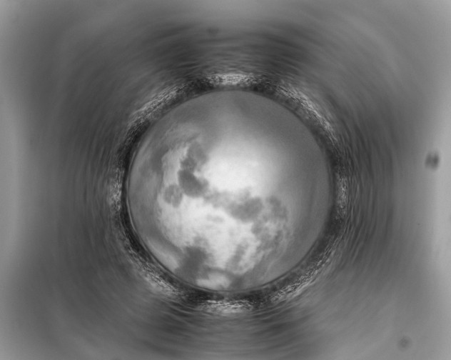 X0000098190545200805081050