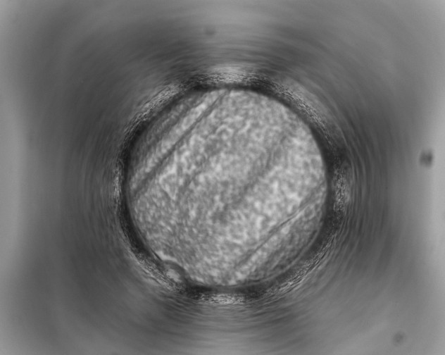 X0000098190546200805081050
