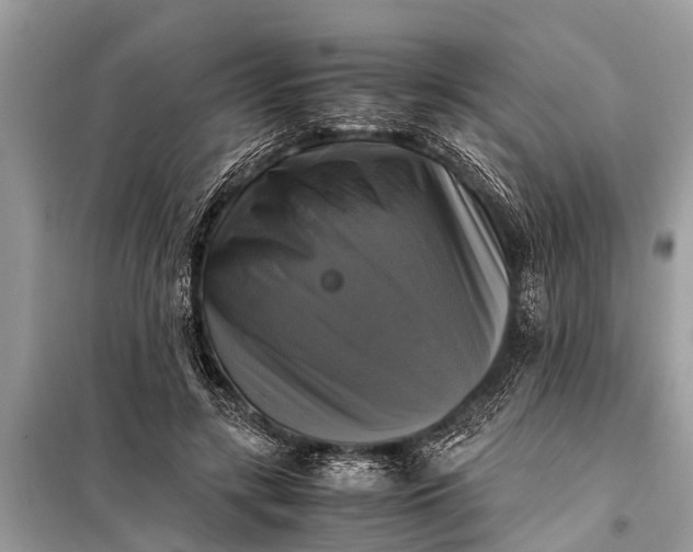 X0000098190547200805081050
