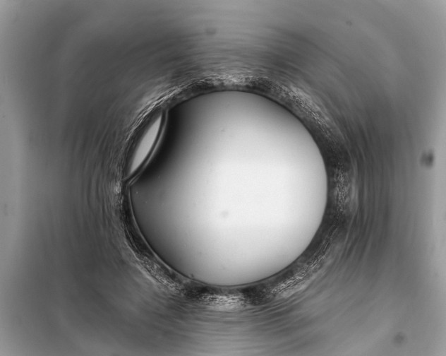 X0000098190548200805081050