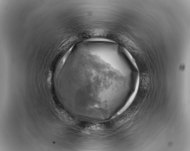 X0000098190550200805081050