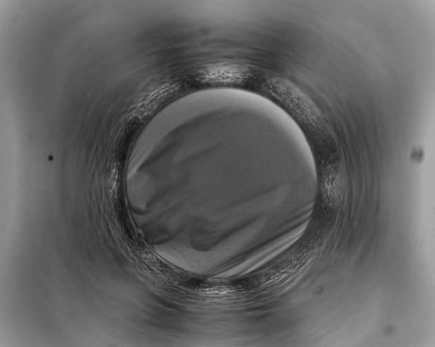 X0000098190551200805081050