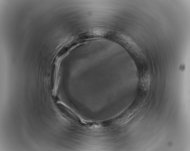 X0000098190552200805081050