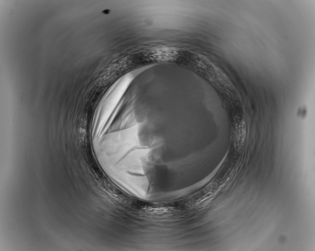 X0000098190553200805081050