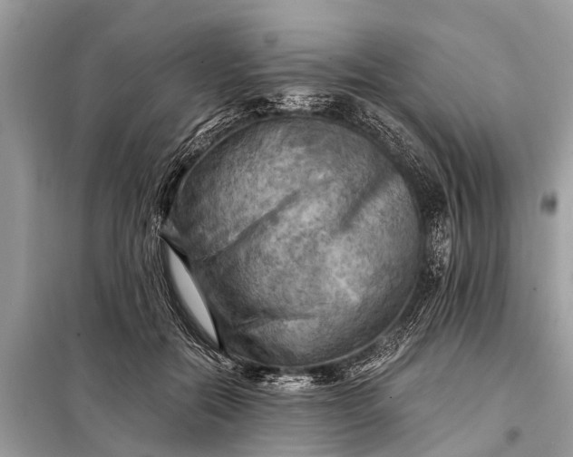 X0000098190554200805081050