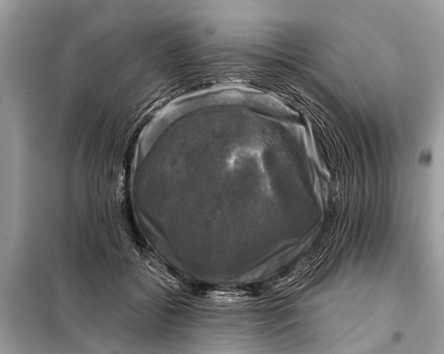 X0000098190556200805081050