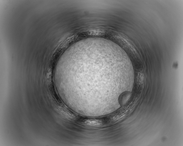 X0000098190557200805081050