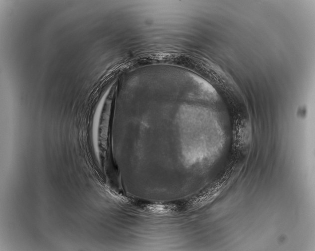 X0000098190558200805081050