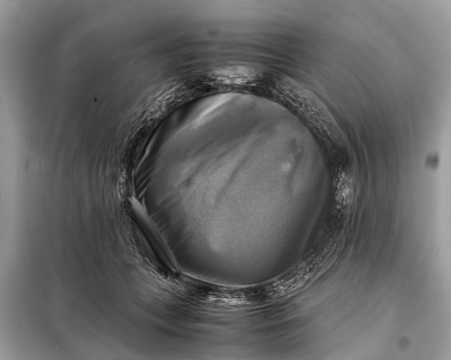 X0000098190559200805081050
