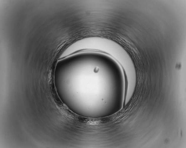 X0000098190560200805081050