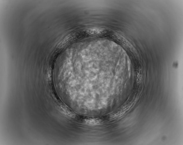 X0000098190561200805081050