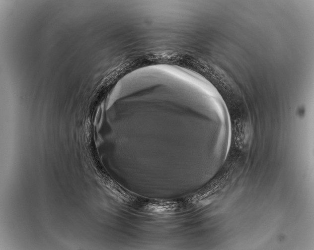 X0000098190563200805081050