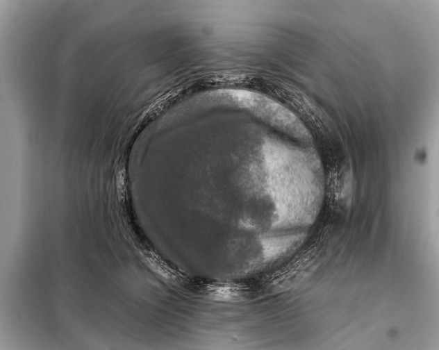 X0000098190564200805081050