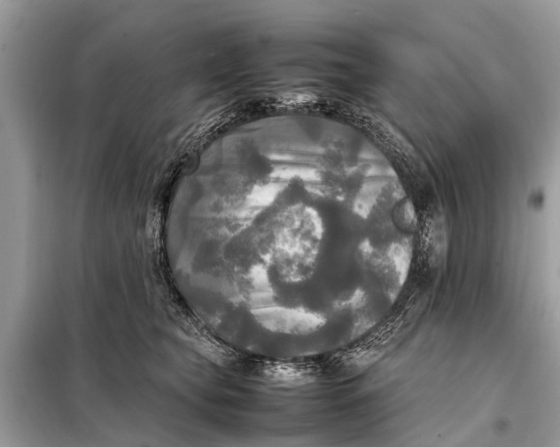 X0000098190565200805081050