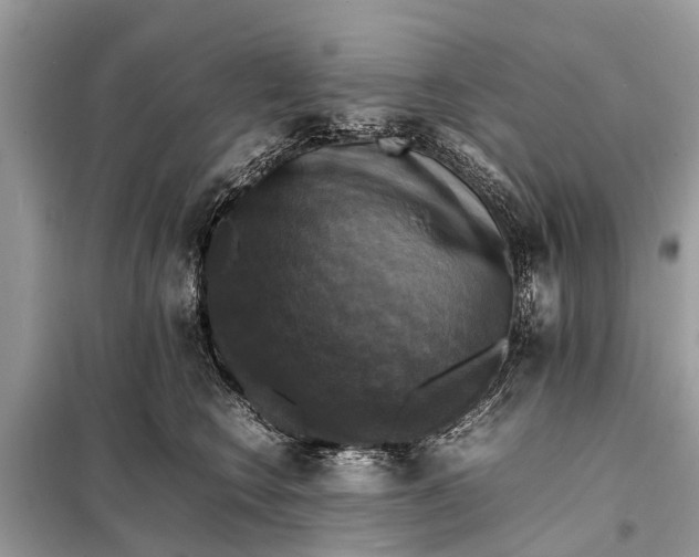 X0000098190566200805081050