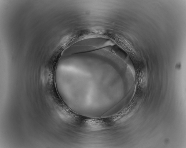 X0000098190568200805081050
