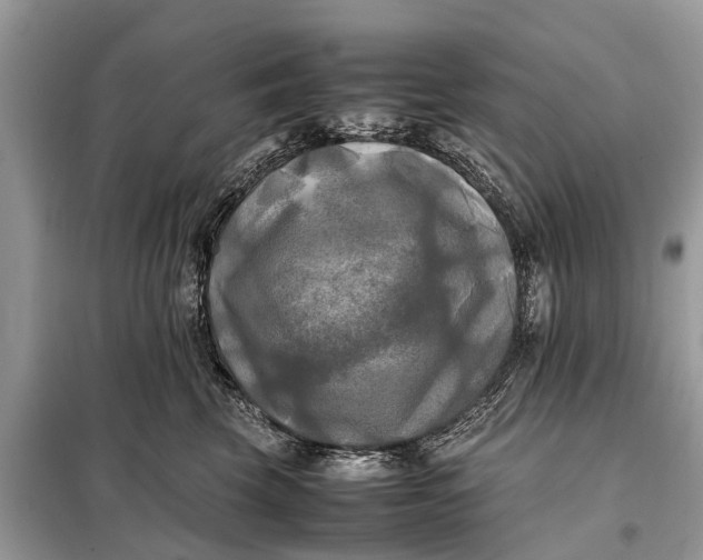 X0000098190569200805081050