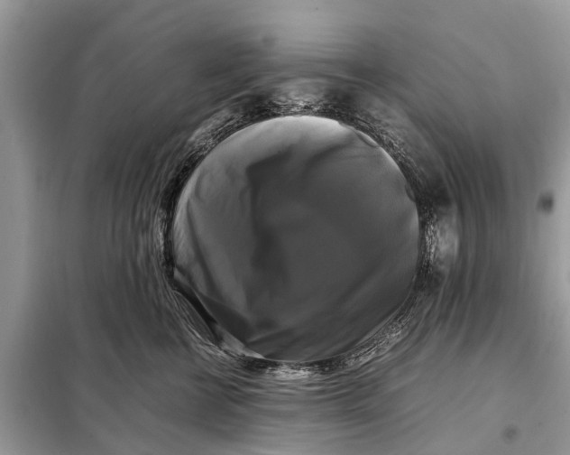 X0000098190570200805081050