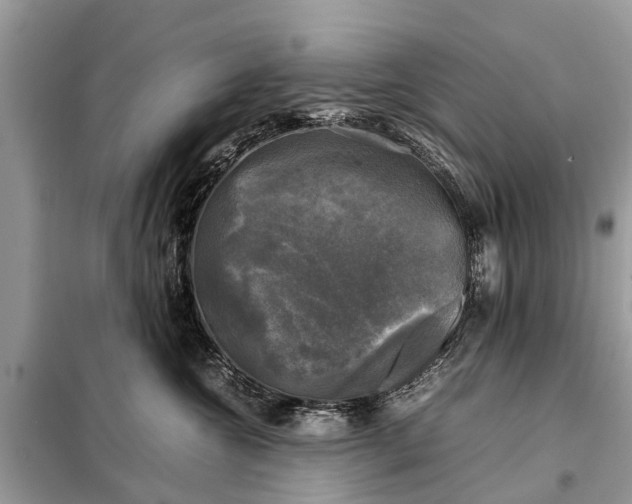 X0000098190572200805081050