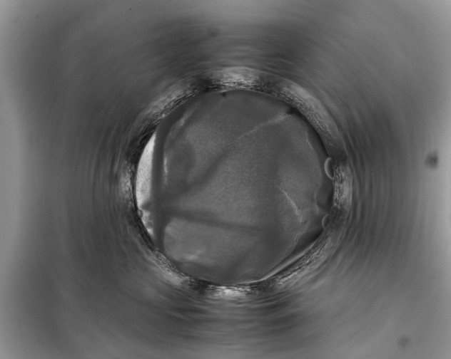 X0000098190573200805081050