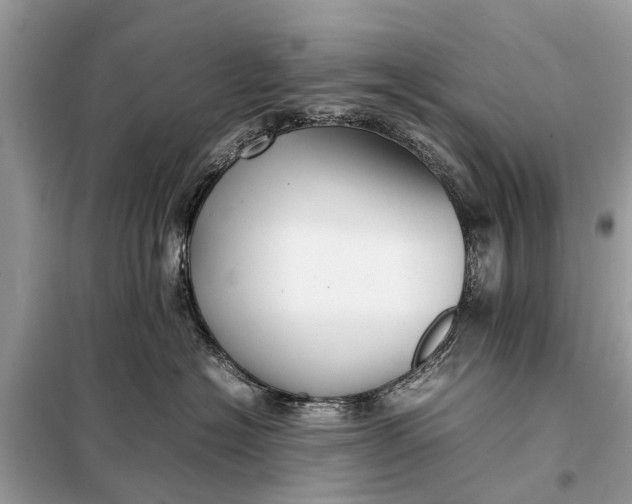 X0000098190574200805081050