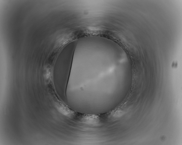 X0000098190576200805081050