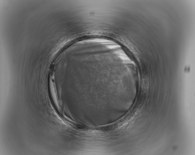 X0000098190577200805081050