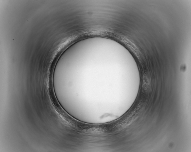X0000098190578200805081050