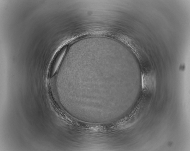 X0000098190579200805081050