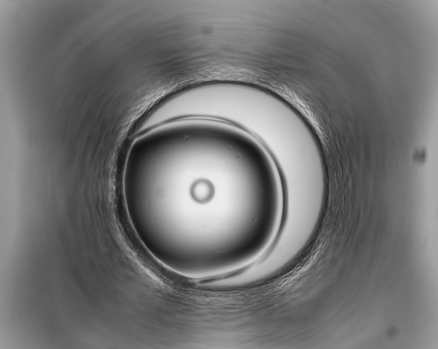 X0000098190581200805081050